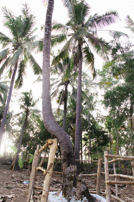 מלון Batununggul Nyuh Bengkok Tree House מראה חיצוני תמונה