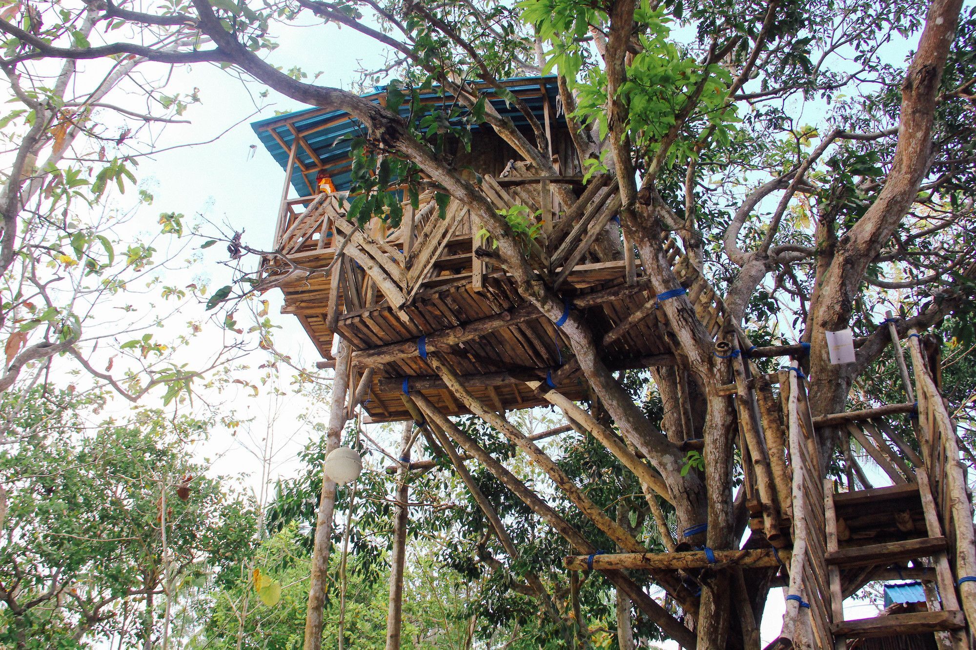 מלון Batununggul Nyuh Bengkok Tree House מראה חיצוני תמונה